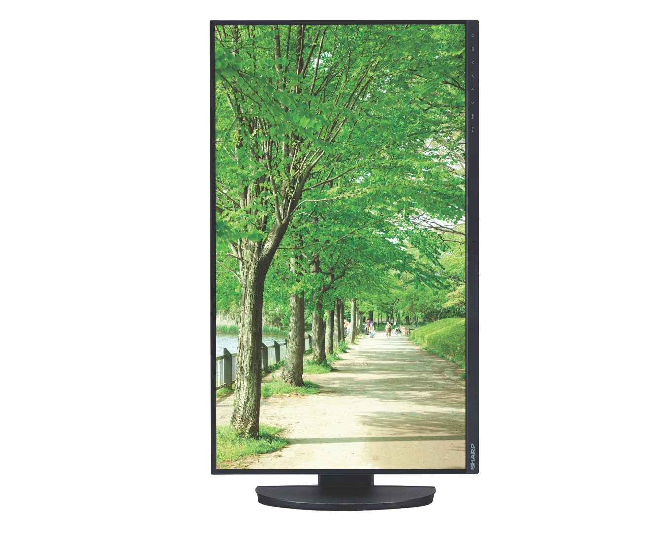 desktop monitor portrait 