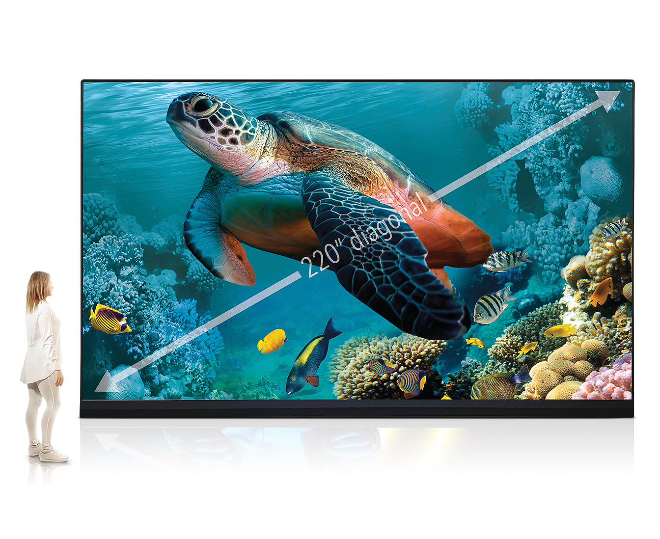 FE Series 3 UHD Indoor DvLED large
