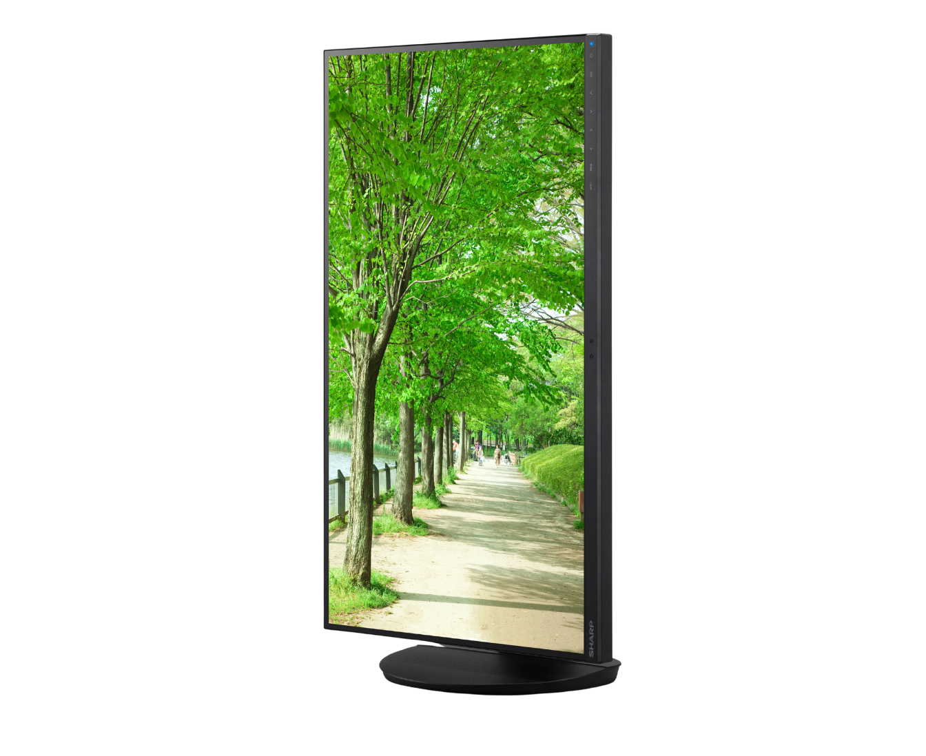 desktop monitor portrait angled