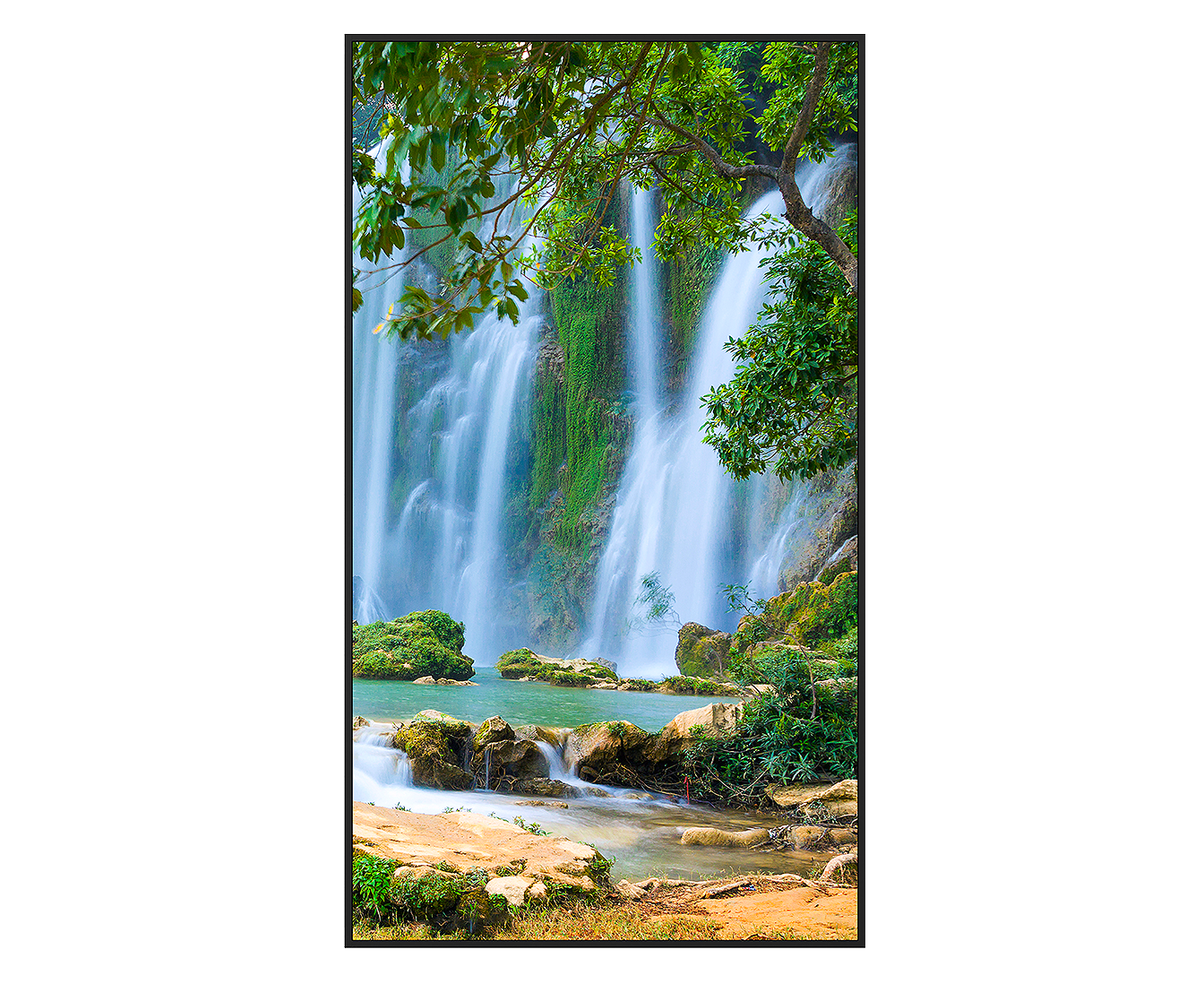 PNME portrait installation