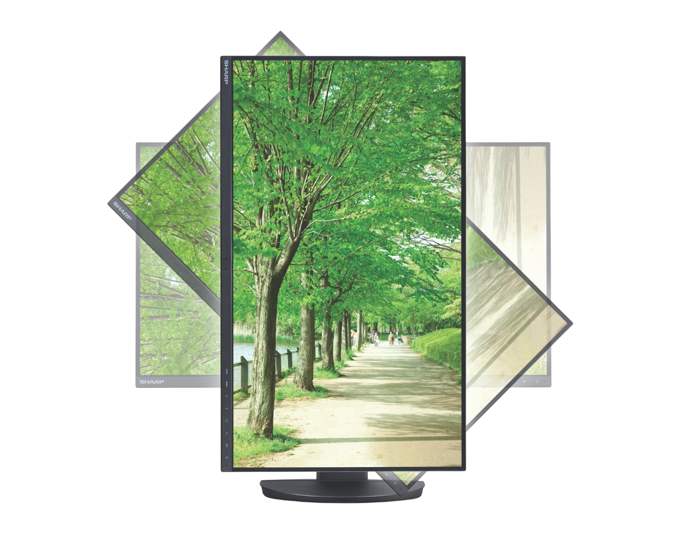 desktop monitor showing installation options