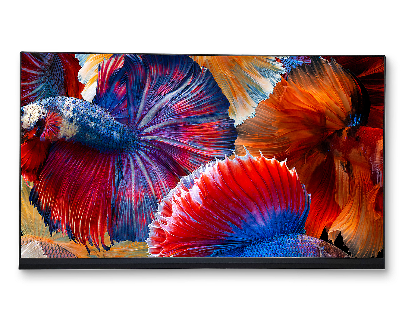 FE SERIES 3 FHD Indoor LED angle view