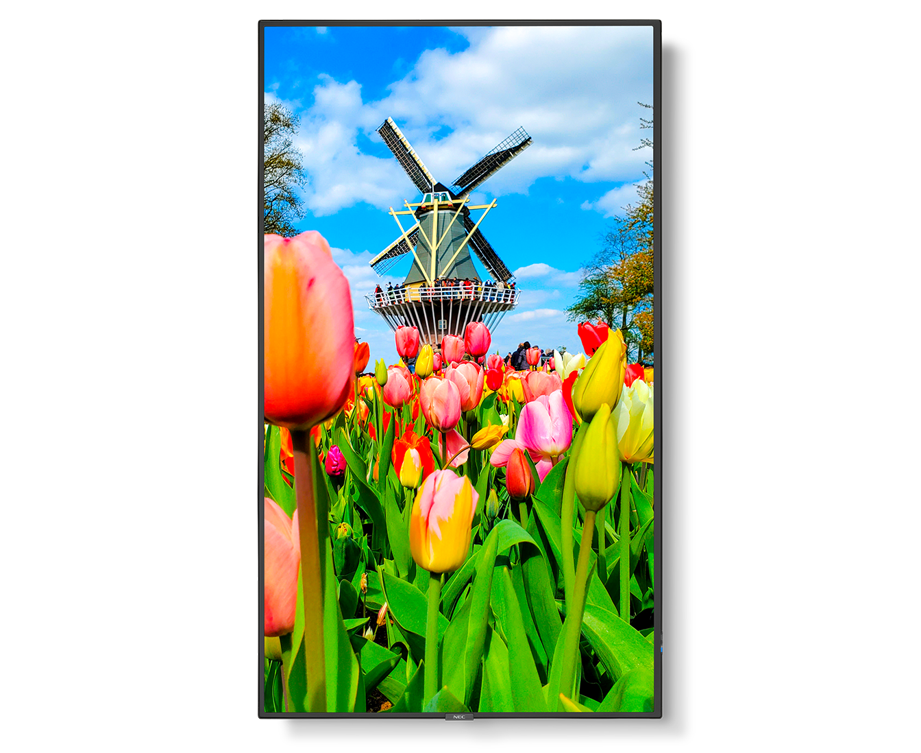 M651-2 portrait view