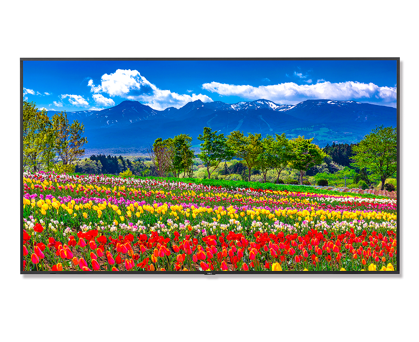 M861 86 Inch Professional Large Format Display