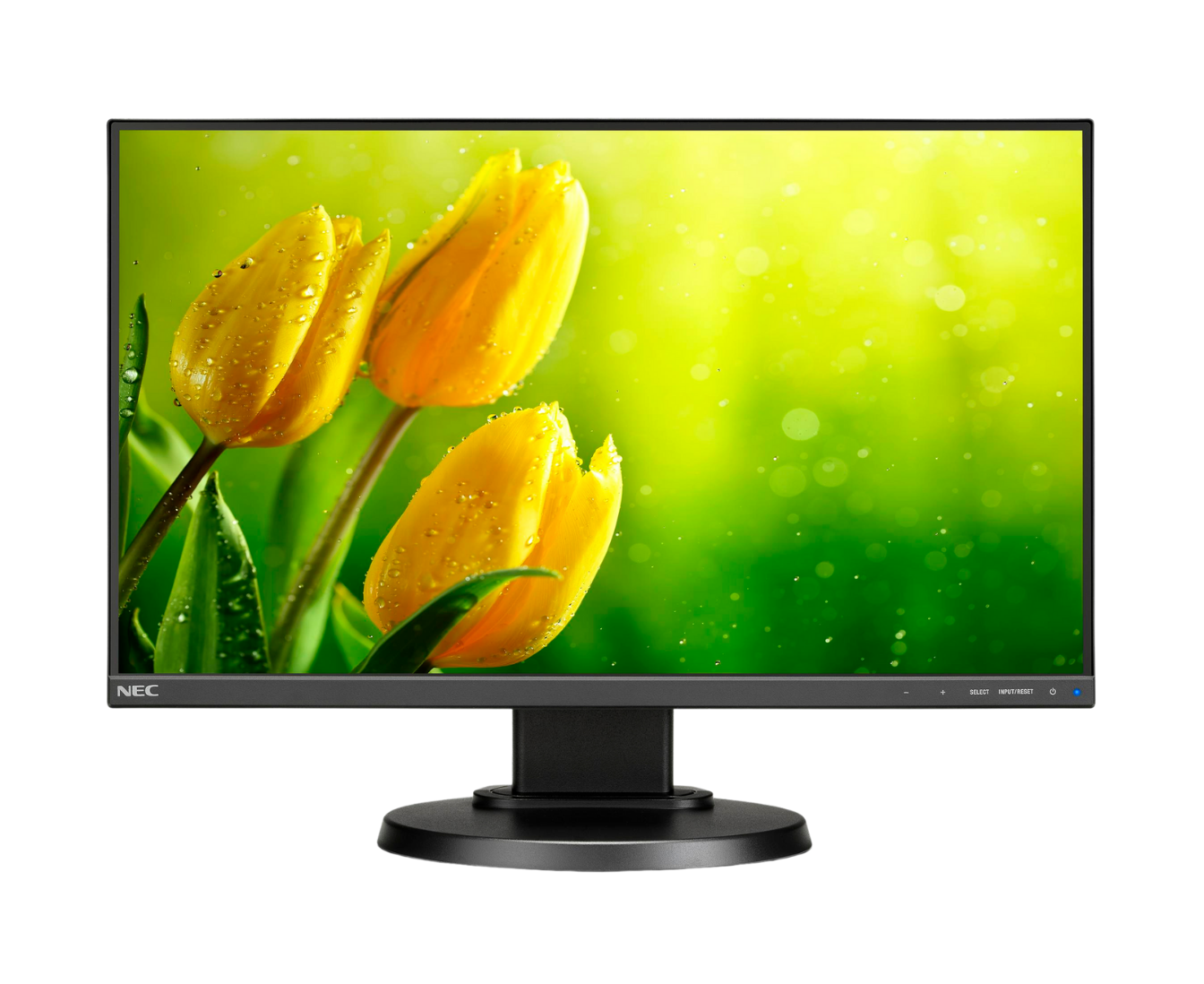 【新品】【未使用】NEC LCD-E221N-BK Sharp Electronics of Canada Ltd