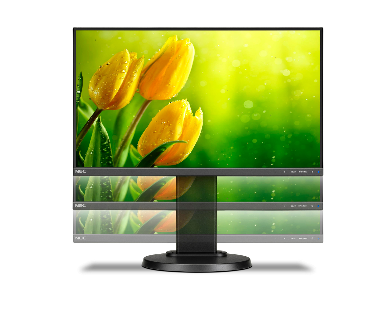 Sharp Electronics of Canada Ltd
