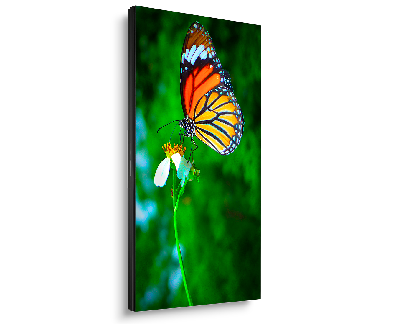 UN552S | 55in Ultra-Narrow Bezel Video Wall Display