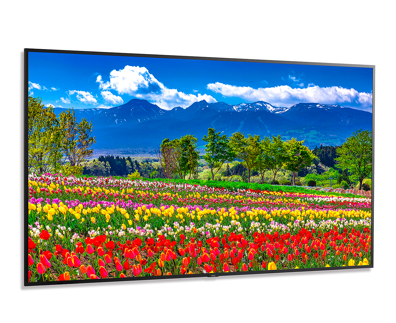 ４Ｋ50inch
スマートテレビ  22年製 M751 75 Inch Professional Large Format Display