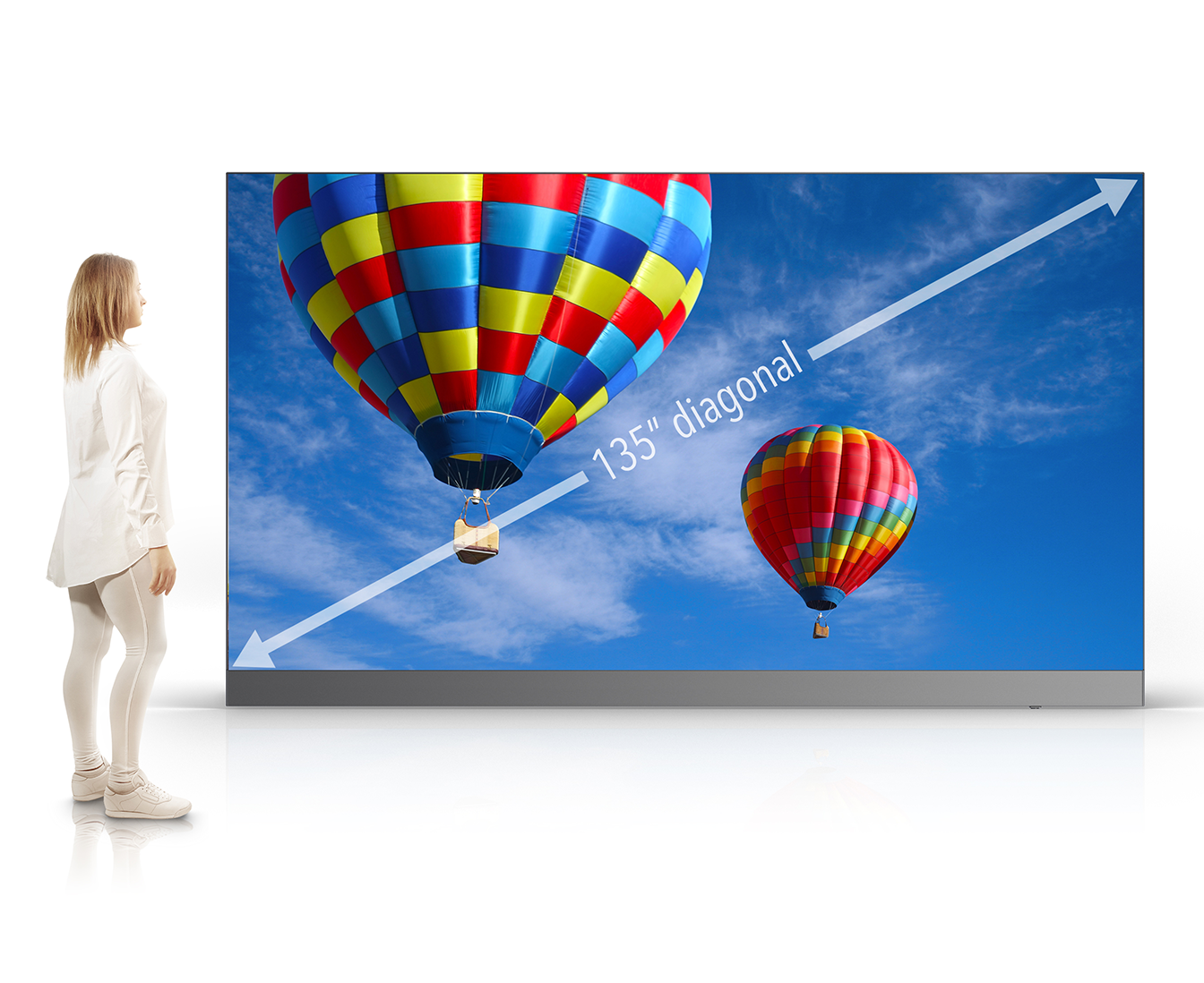 Sharp 135-inch Direct View LED Display (LED-E015I-135)